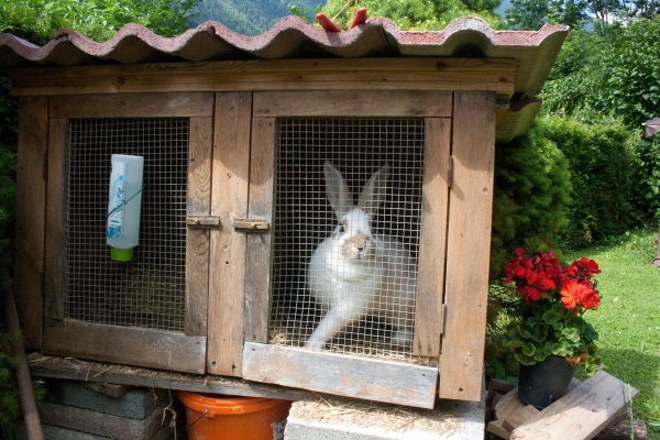 Pension Gerold